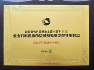 2013 年转型与升级年度领跑企业