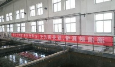 网20170301-图2