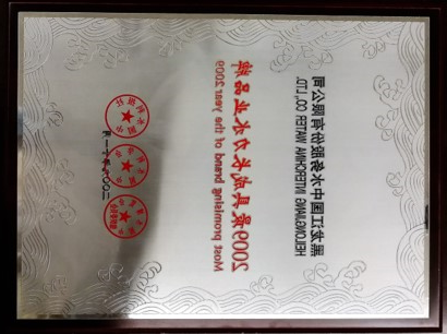 2009最具成长力水业品牌